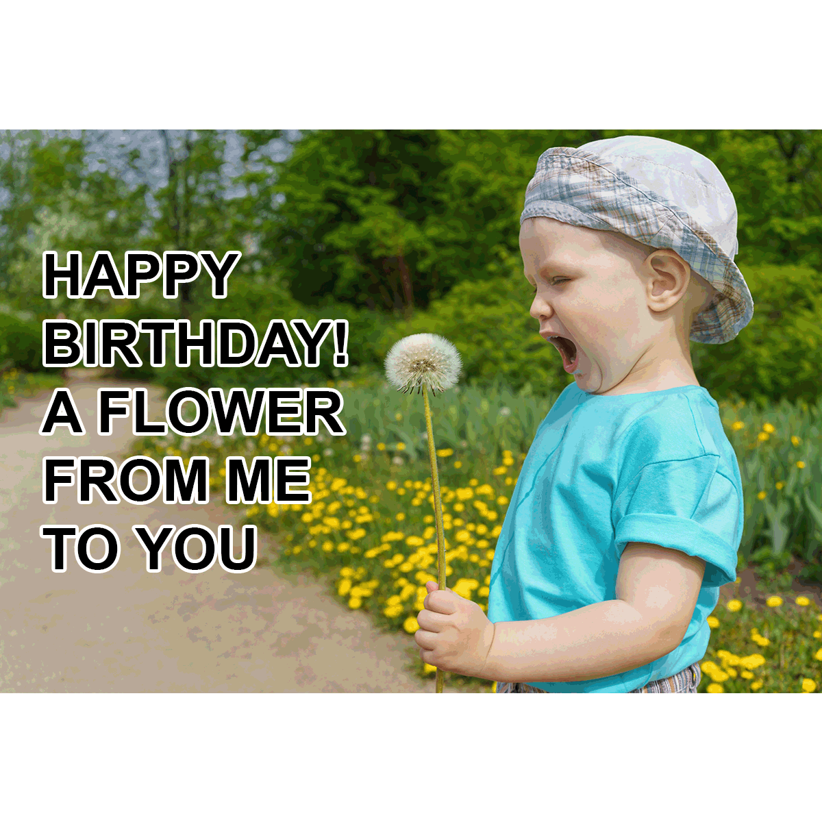 Happy Birthday Flower Meme