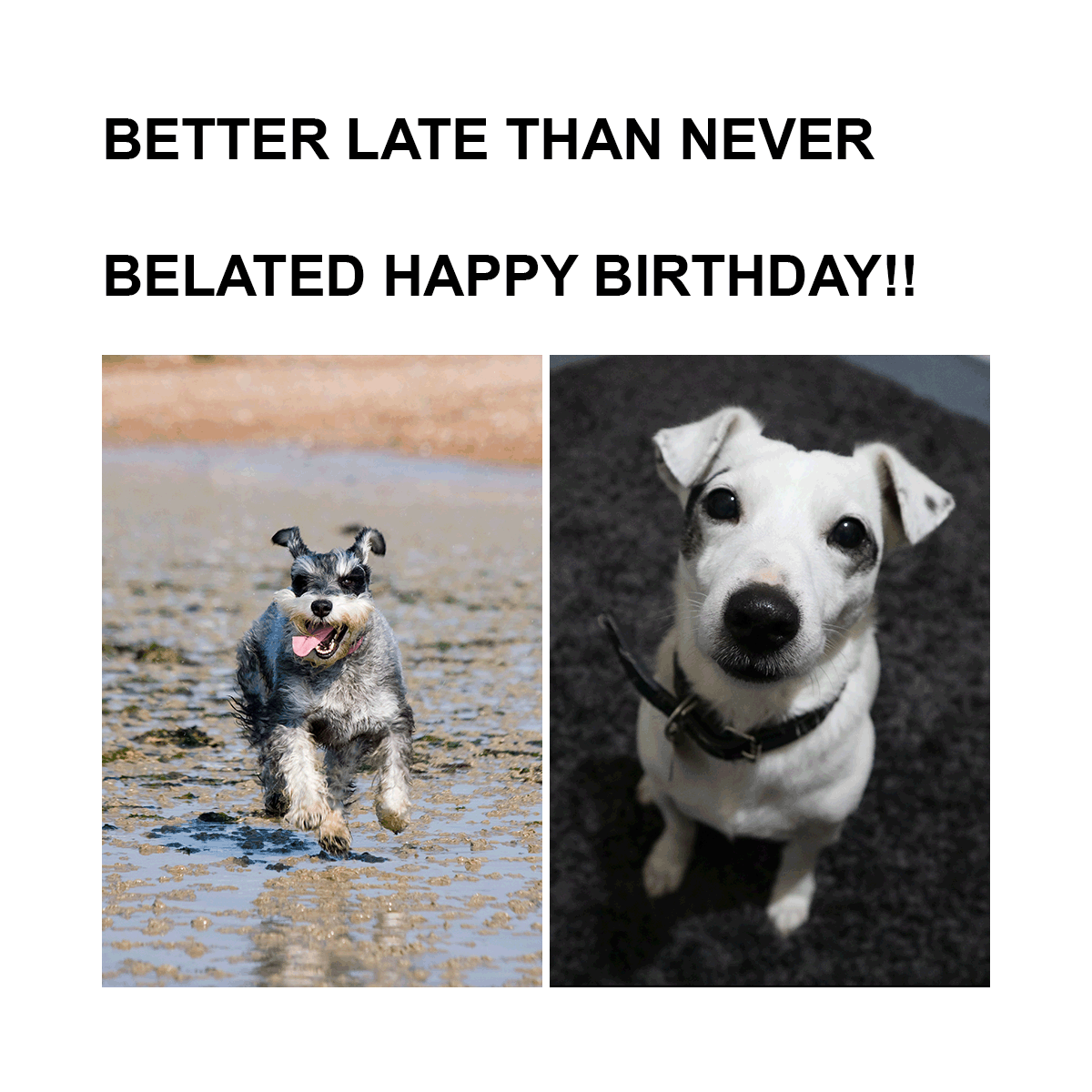 Happy Late Birthday Meme