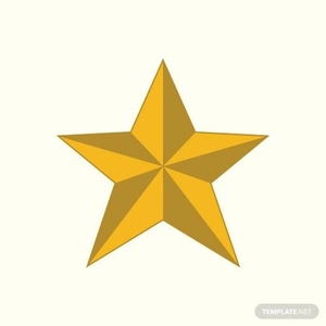 Retro Star Shape Vector