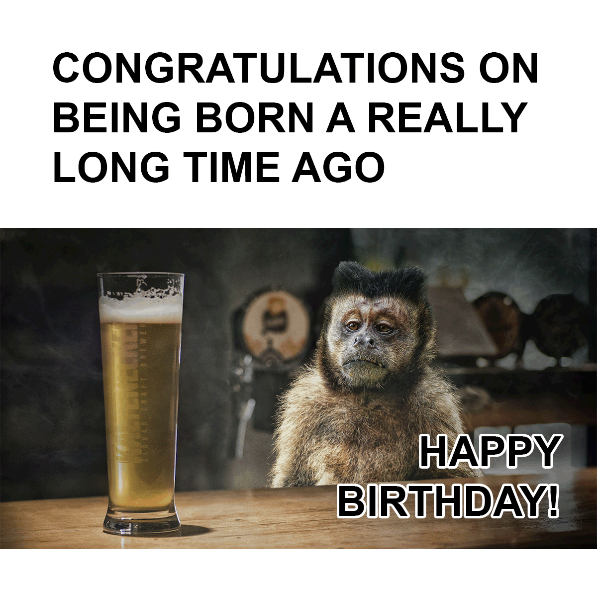 Happy Birthday Beer Meme