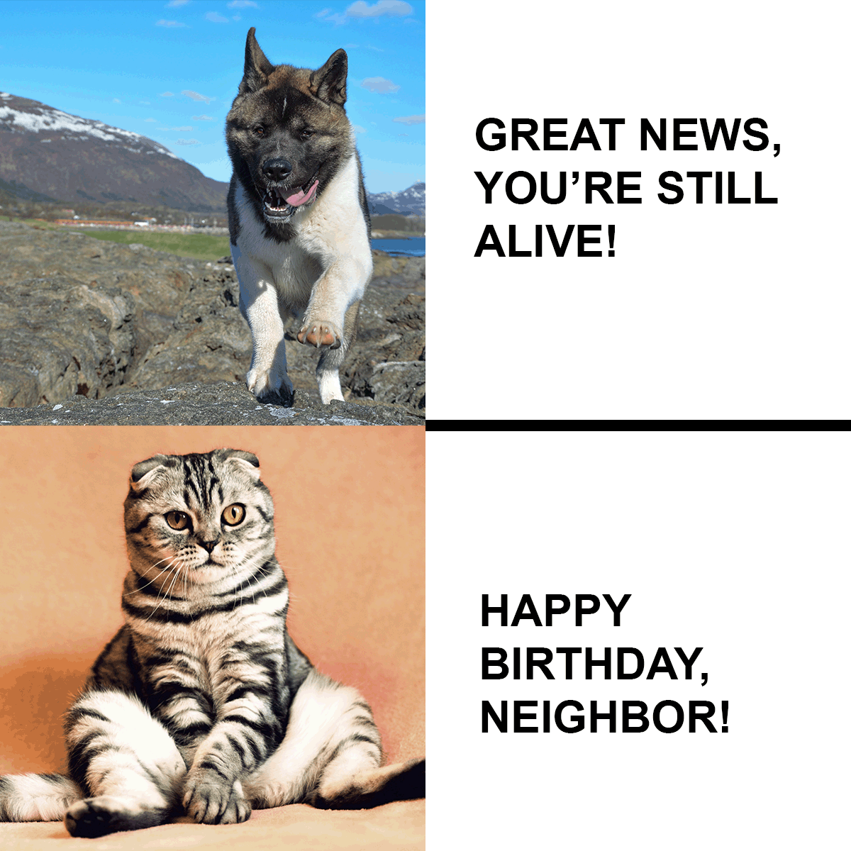 Happy Birthday Neighbor Meme