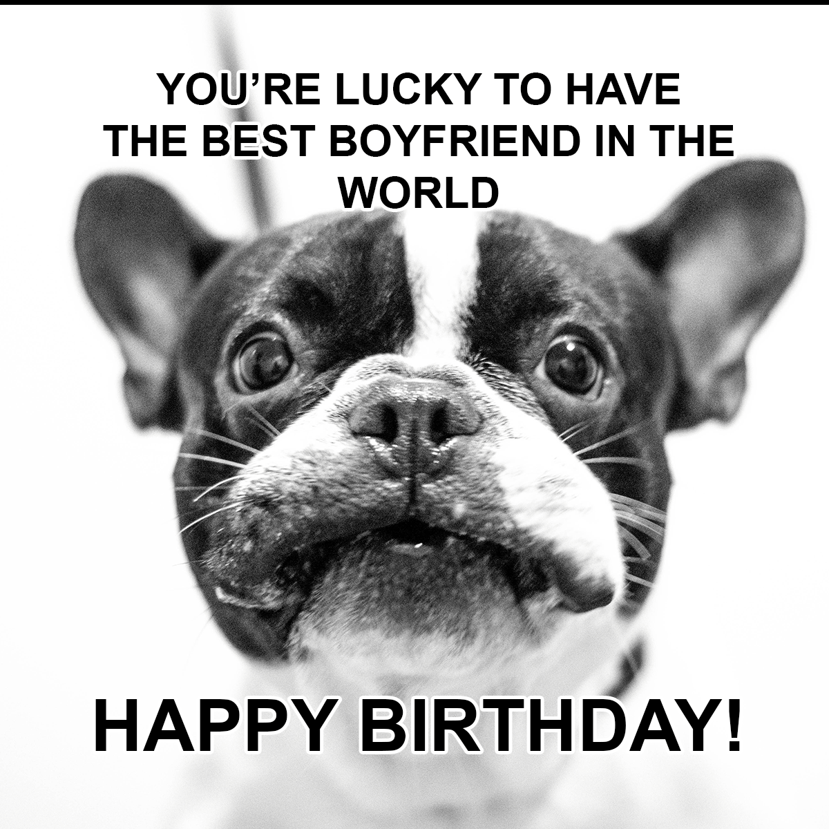 Happy Birthday Girlfriend Meme