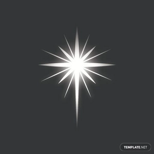 White Shiny Star Vector