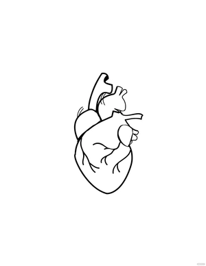 Anatomical Heart Drawing Black and White