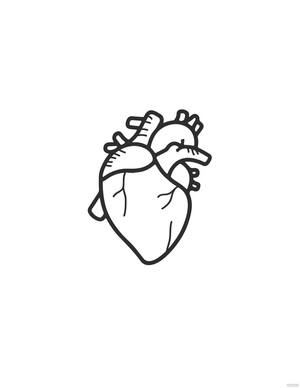 Human Heart Drawing For Kids
