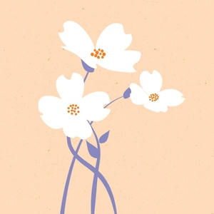 White Flower Illustration