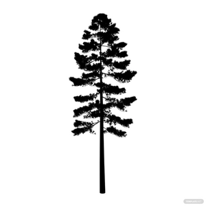 Ponderosa Pine Tree Silhouette