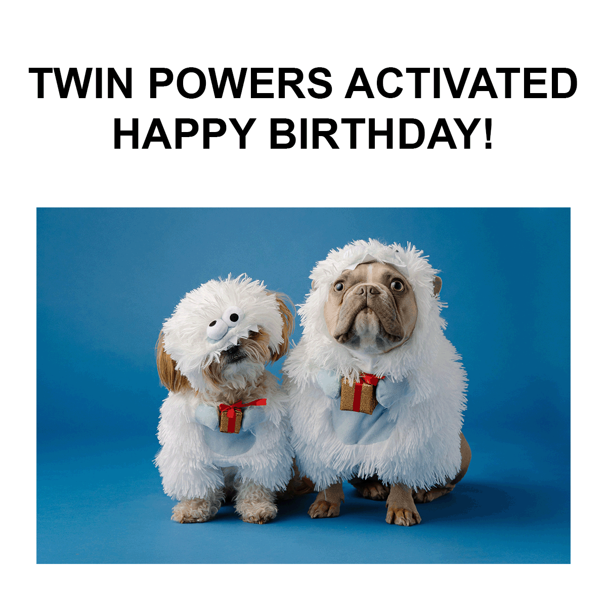 Happy Birthday Twins Meme
