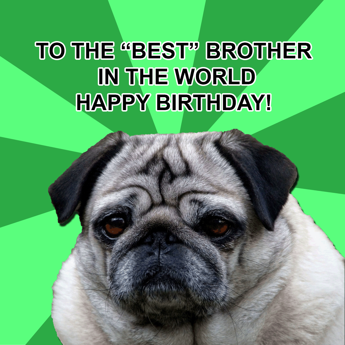 Sarcastic Happy Birthday Meme for Him
