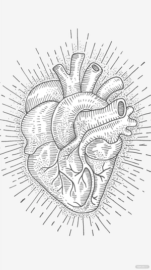 Anatomical Heart Background