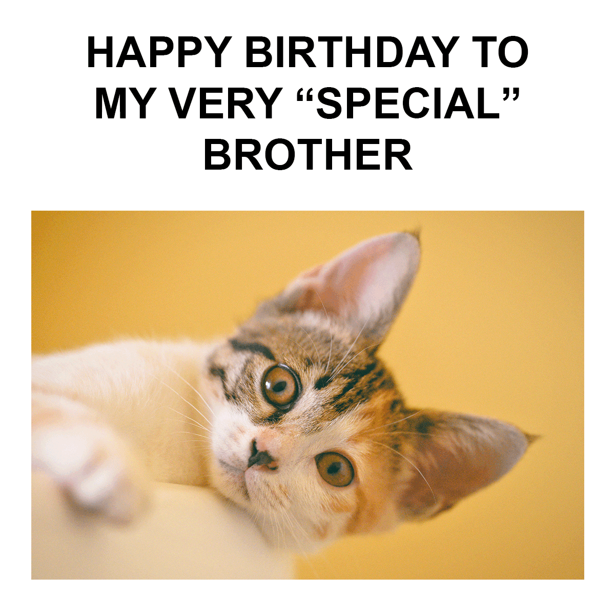 Happy Birthday Brother From Sister Funny Meme