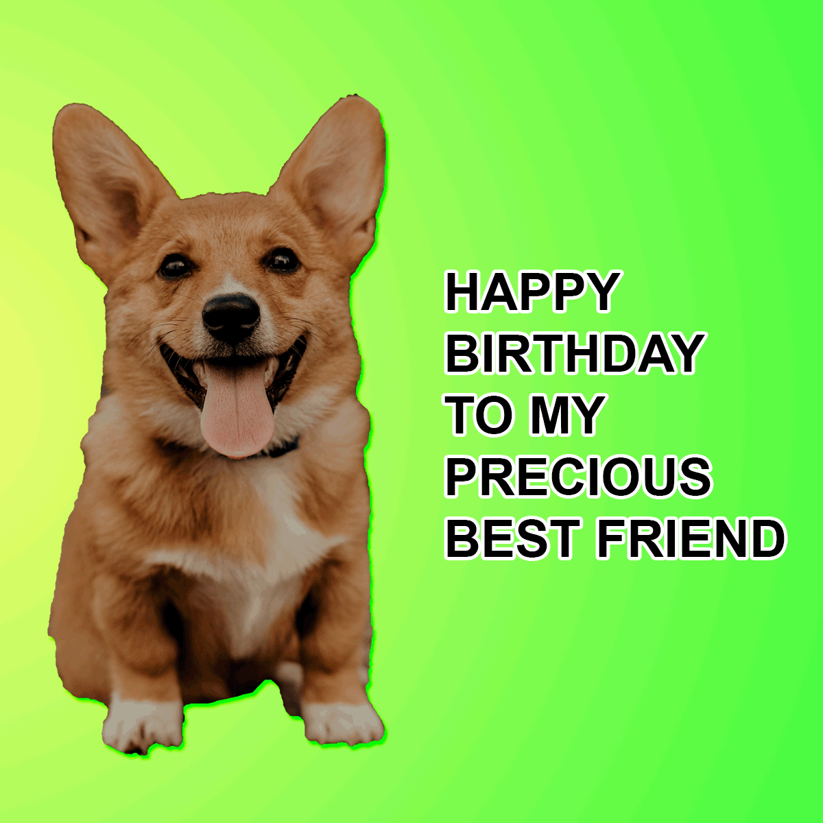 Funny Happy Birthday Best Friend Meme