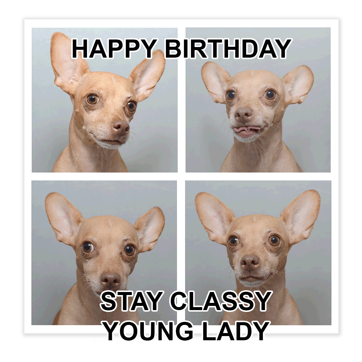 Happy Birthday Young Lady Meme