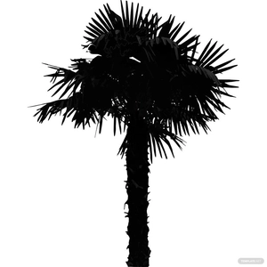 Palm Tree Silhouette