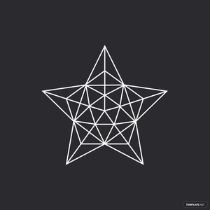 Geometric Star Vector