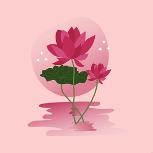 Red Lotus Flower Illustration
