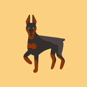 Doberman Pinscher Vector Template