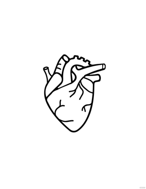 Simple Human Heart Drawing