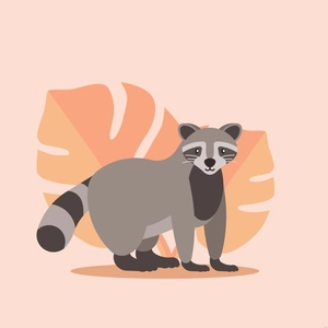 Racoon Vector Template