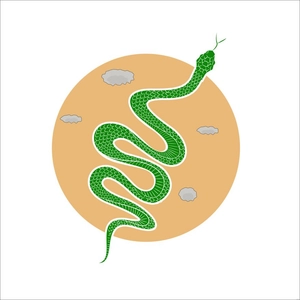 Reptile Snake Vector Template