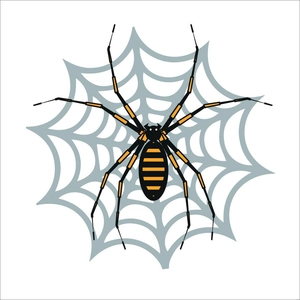 Spider Web Vector Template