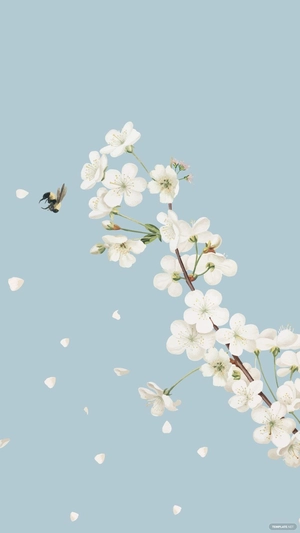 Pastel Blue Iphone Background