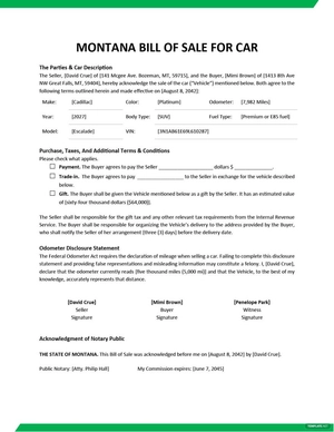 Montana Bill of Sale For Car Template