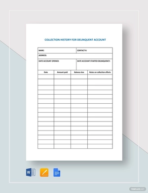 Collection History for Delinquent Account Template