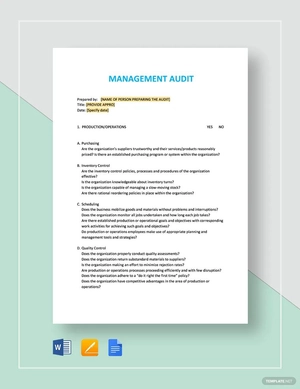 Management Audit Checklist Template