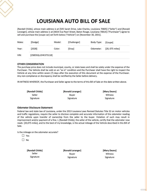 Louisiana Auto Bill of Sale Template