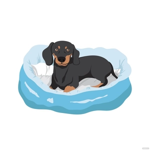 Weiner Dog Vector