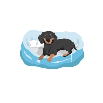 Free Weiner Dog Clipart Template to Edit Online