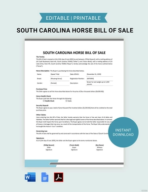 South Carolina Horse Bill of Sale Template