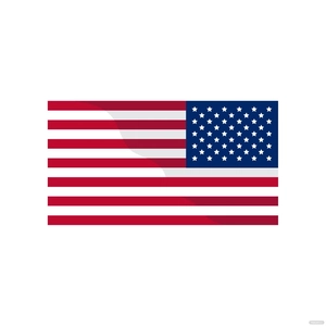 Reverse American Flag Vector