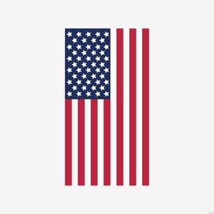 Vertical American Flag Vector