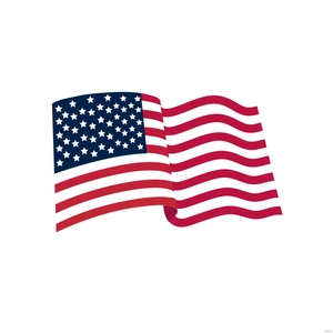 Wavy American Flag Vector