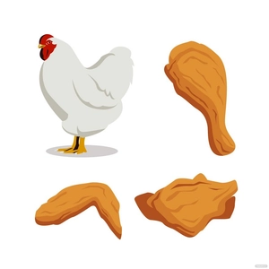 Chicken Vector