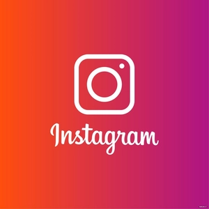 White Instagram Vector