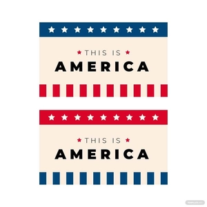 American Flag Theme Vector