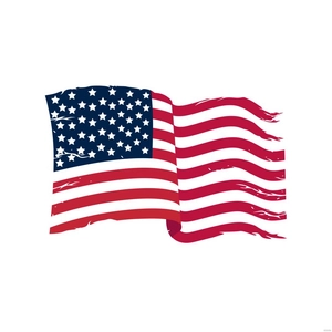 Ripped American Flag Vector