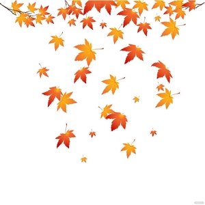 Autumn Falling Leaves Vector