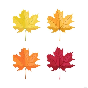Autumn Maple Leaf Vector