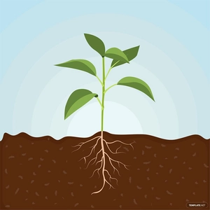 Plant With Soil Vector