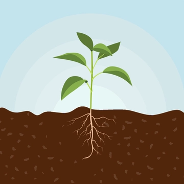 Free Plant With Soil Clipart Template to Edit Online