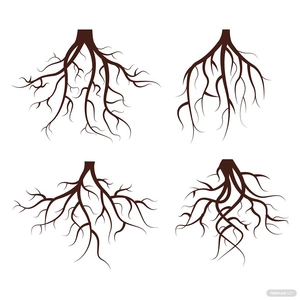 Plant Roots Vector