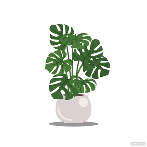 Monstera Plant Vector