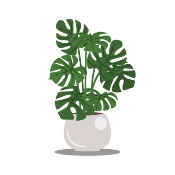 Free Monstera Plant Clipart Template to Edit Online