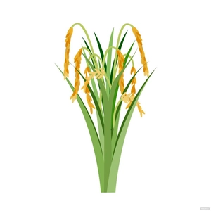 Rice Plant Vector