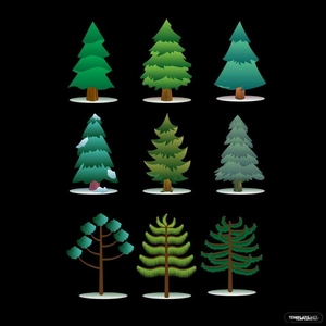 Evergreen Tree Vector
