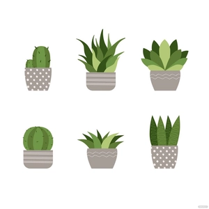 Succulent Plant Vector